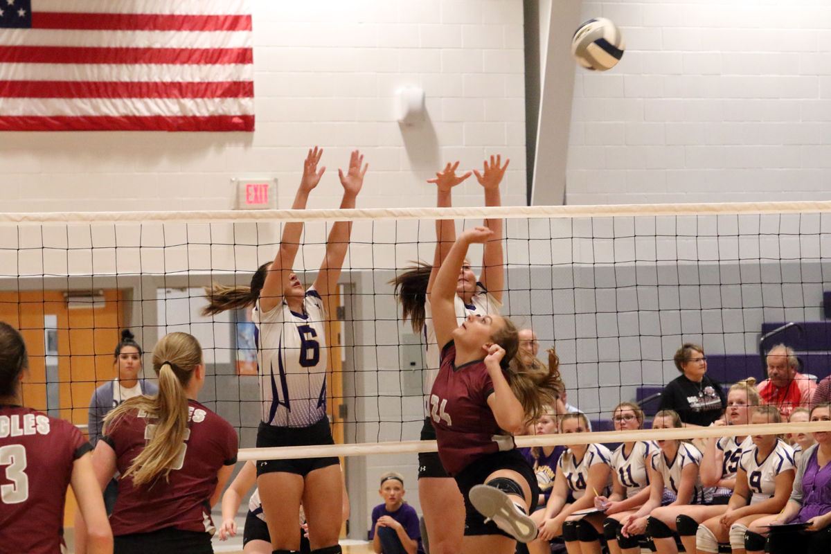 Hampton VB Tri (2).JPG